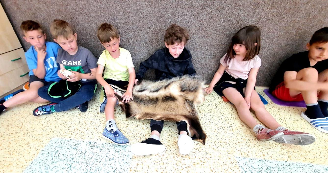 31. 5., Liška u prvňáčků - 20