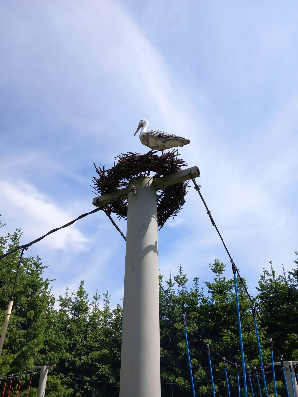 Hurá na výlet! - 11