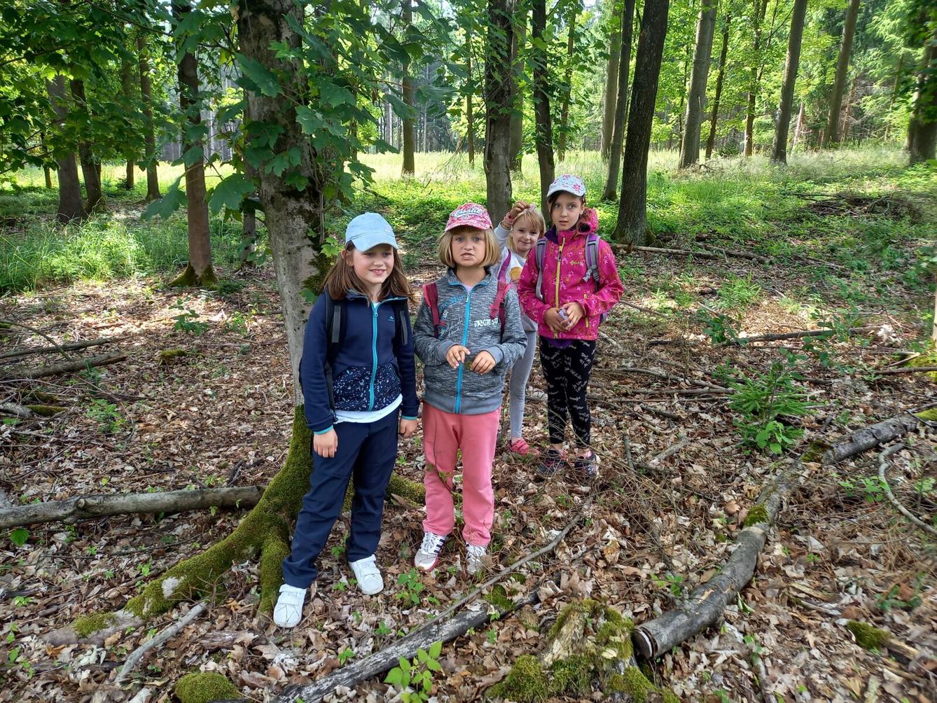 Pohádkový les na 1. stupni - 15