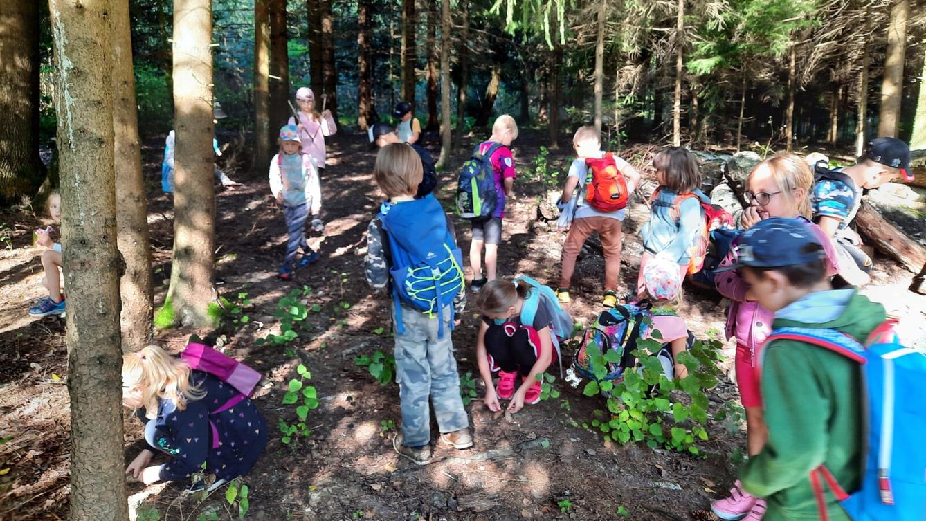 8. 9. Stopovaná s opékáním - 22