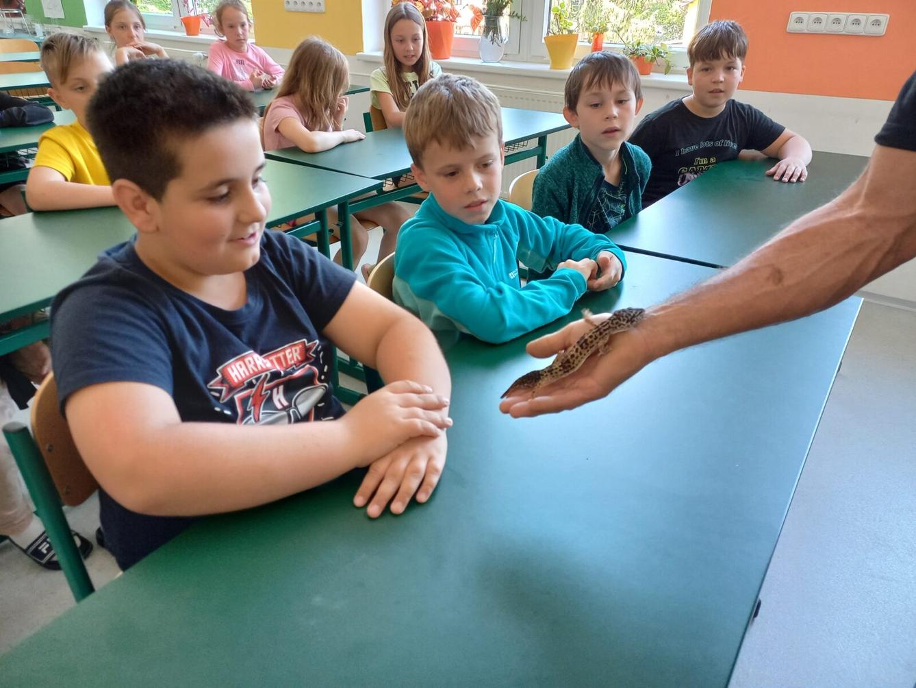 Exotická zvířata pro 3. a 4. třídu - 1