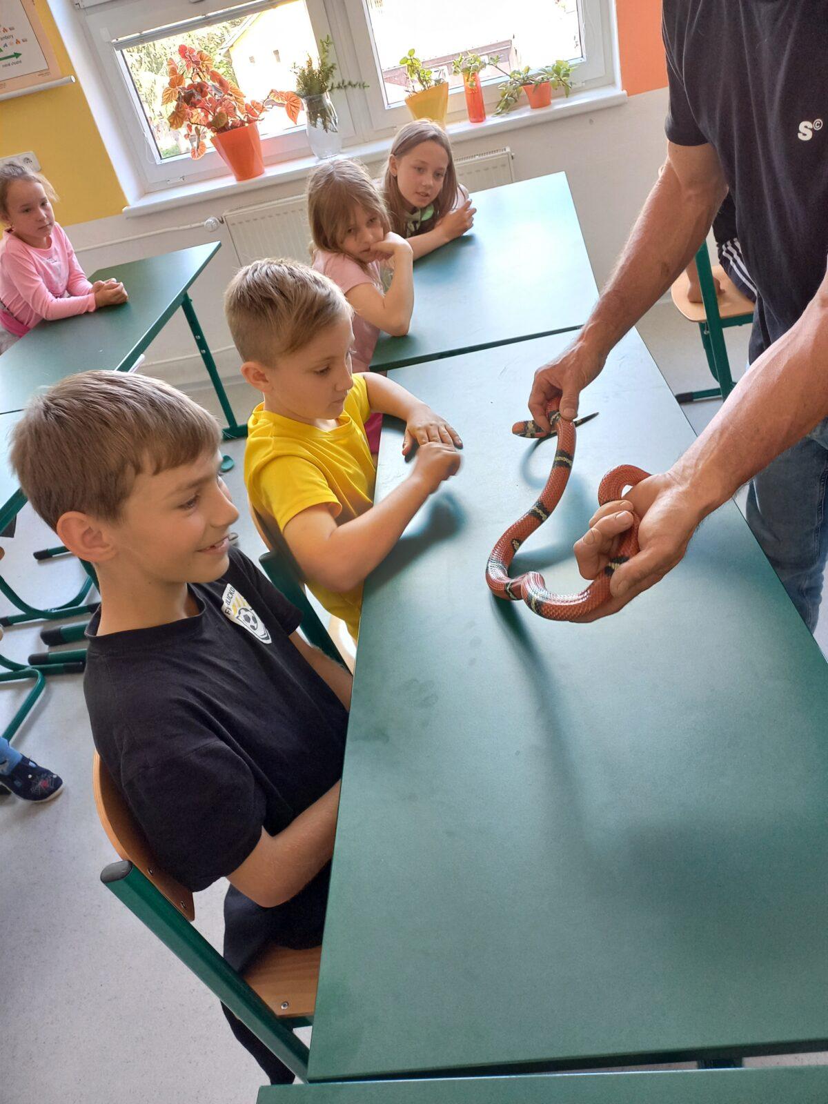 Exotická zvířata pro 3. a 4. třídu - 3