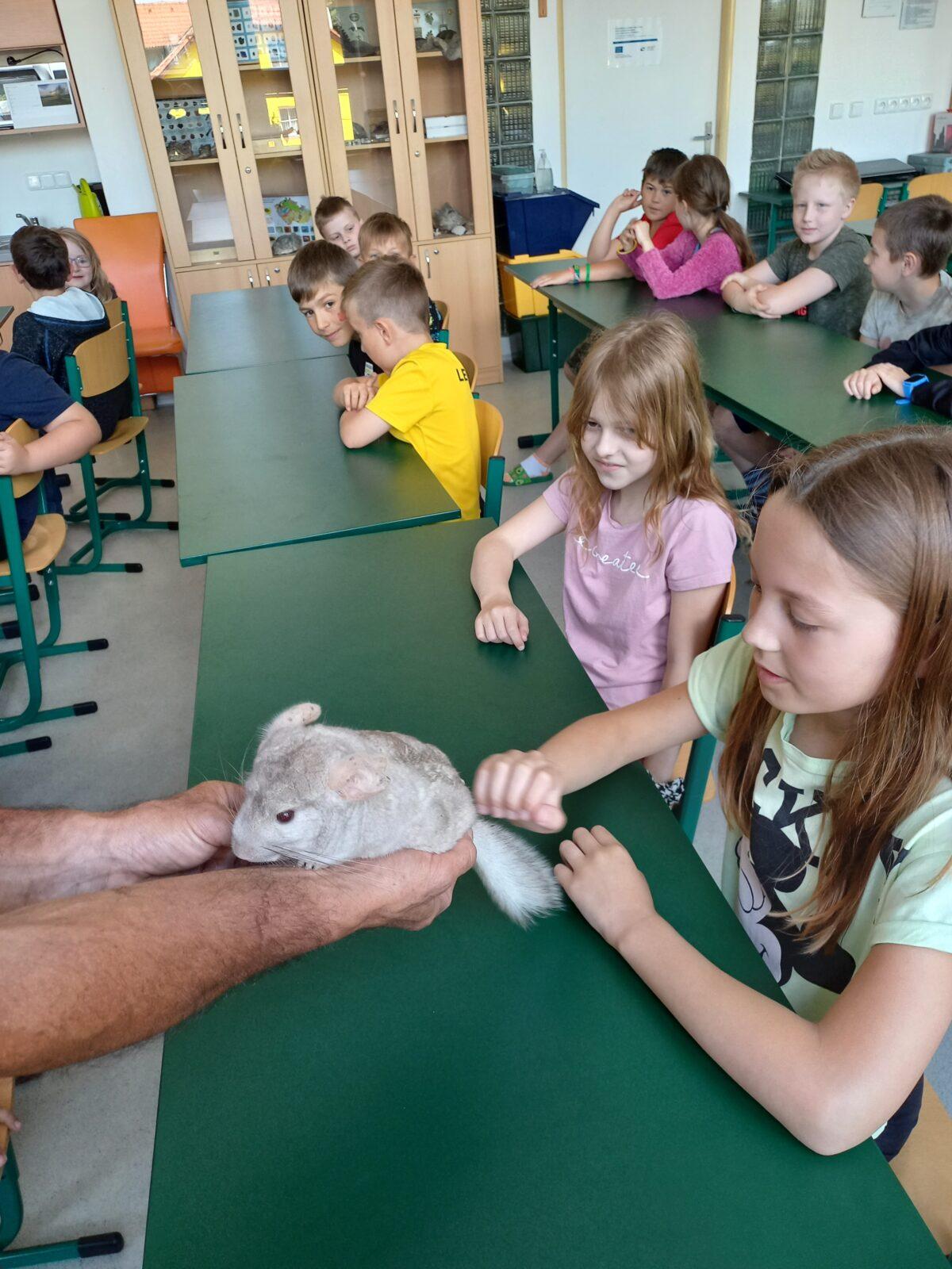 Exotická zvířata pro 3. a 4. třídu - 4