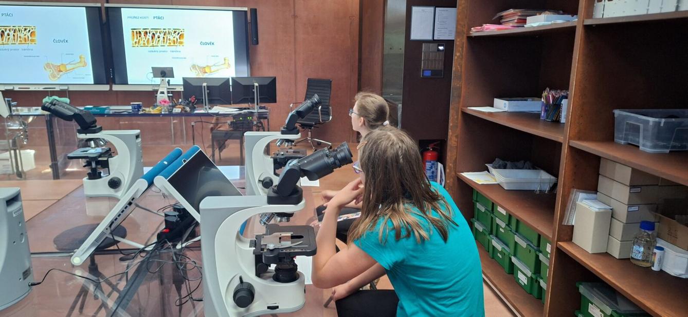 "Páťáci na cestách" - 3