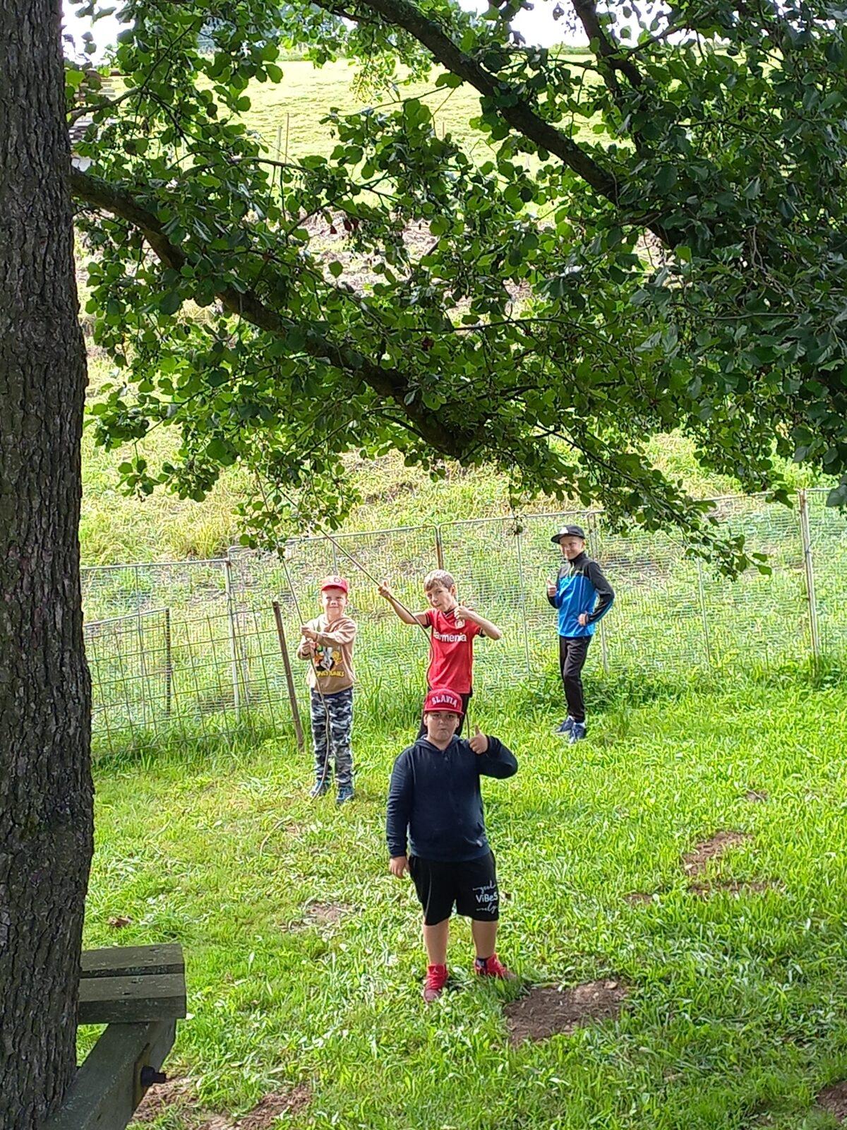 Příměstský tábor "Týden plný zábavy" - pondělí 8. 7. - 4