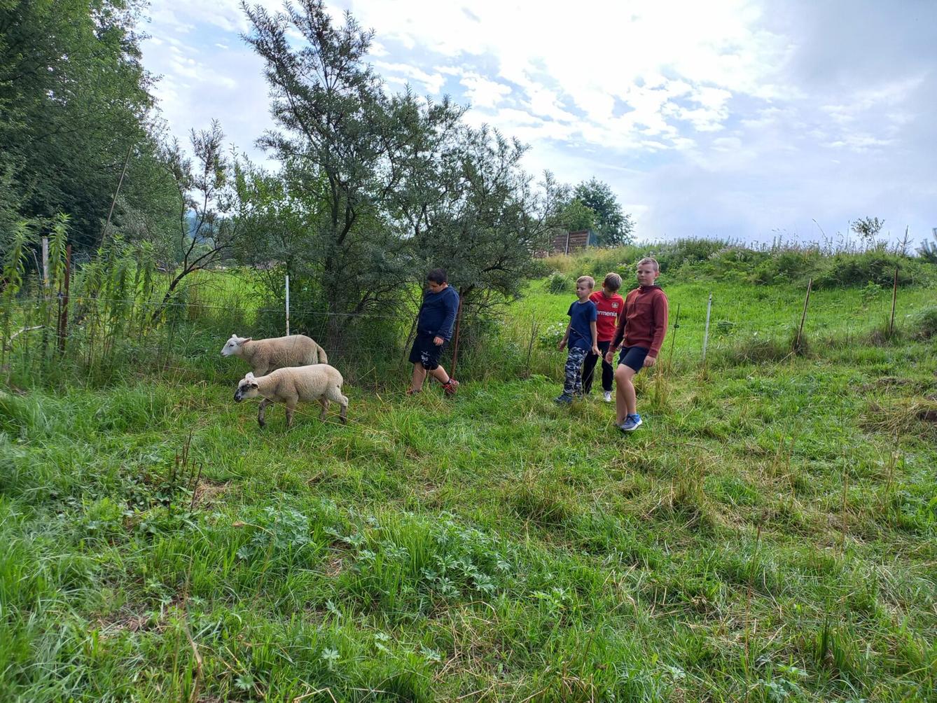 Příměstský tábor "Týden plný zábavy" - pondělí 8. 7. - 9