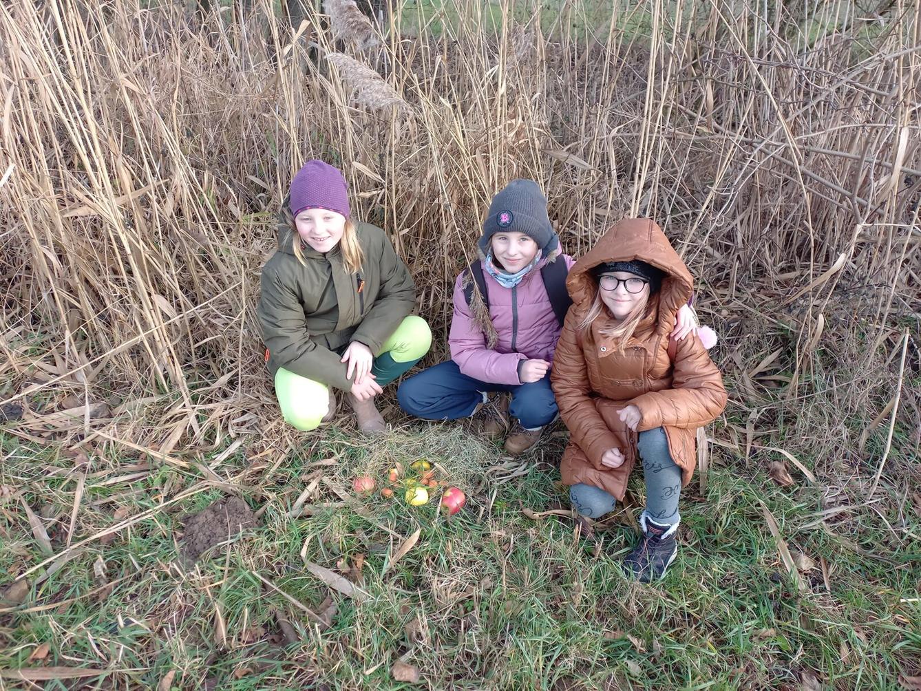 Vánoční les na 1. stupni - 1