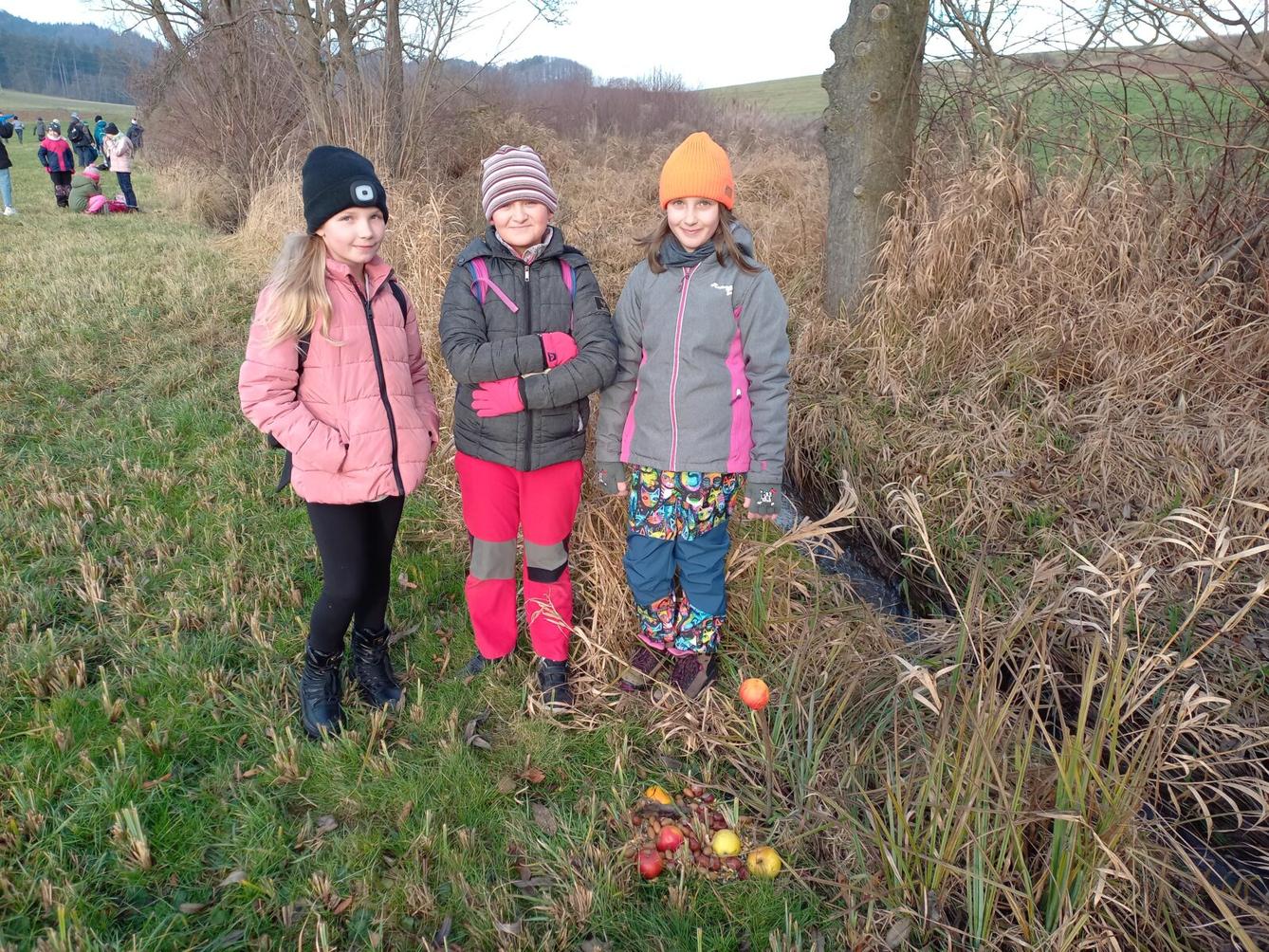 Vánoční les na 1. stupni - 10