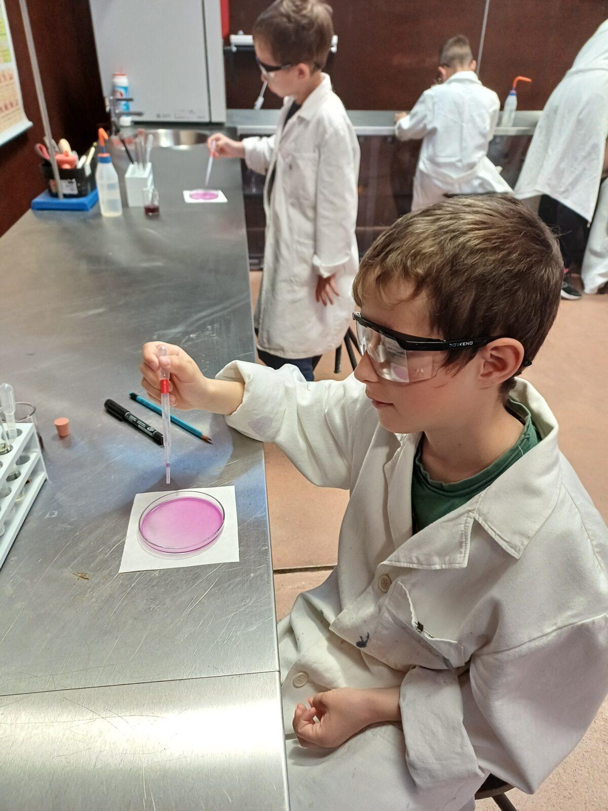 Sféra Pardubice - 2. a 4. třída - 5