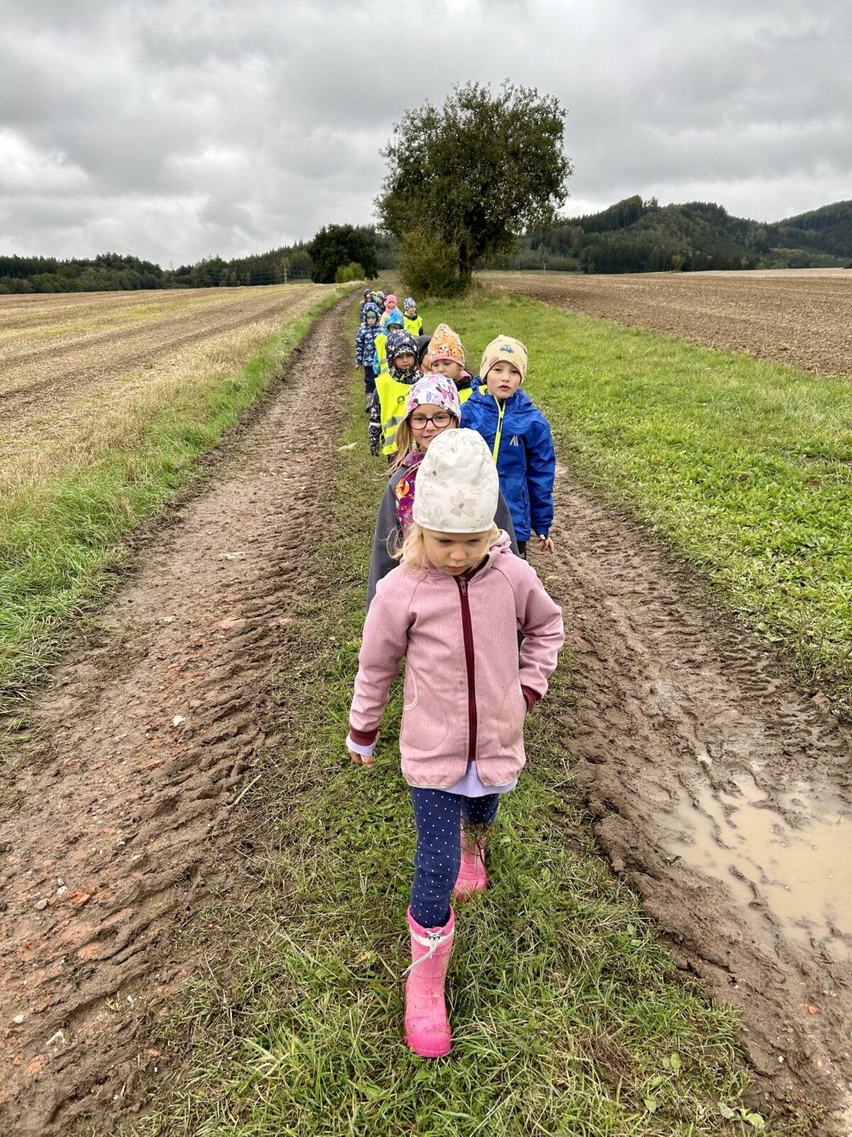 SOVIČKY: DARY PODZIMU - 15