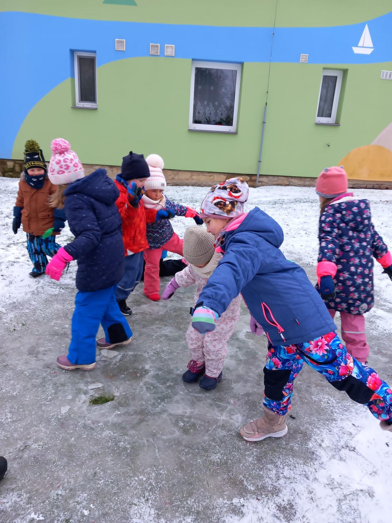 hry na ledu a krmení ptáčků - 5