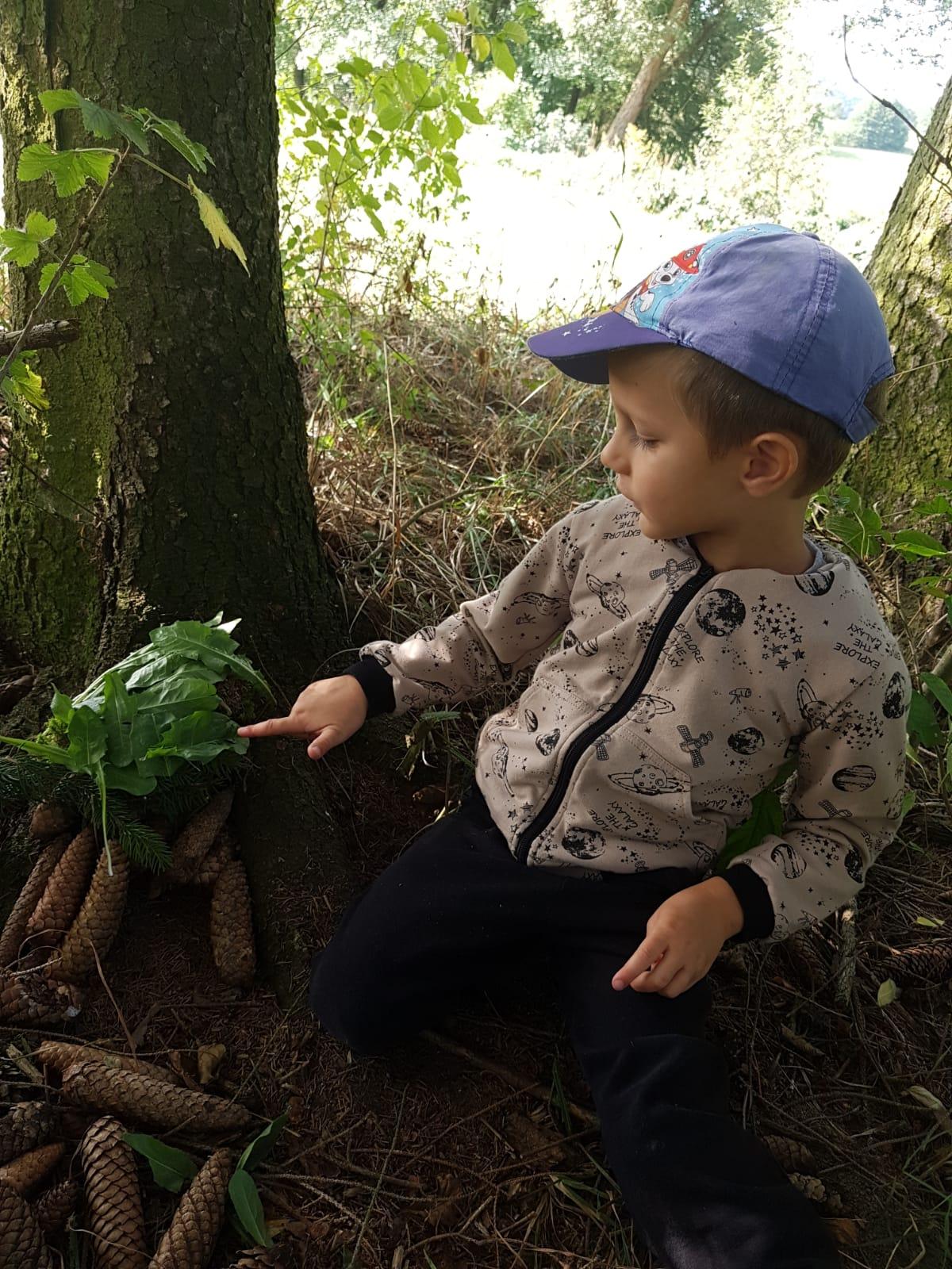 SOVIČKY: LES NÁS BAVÍ - 17