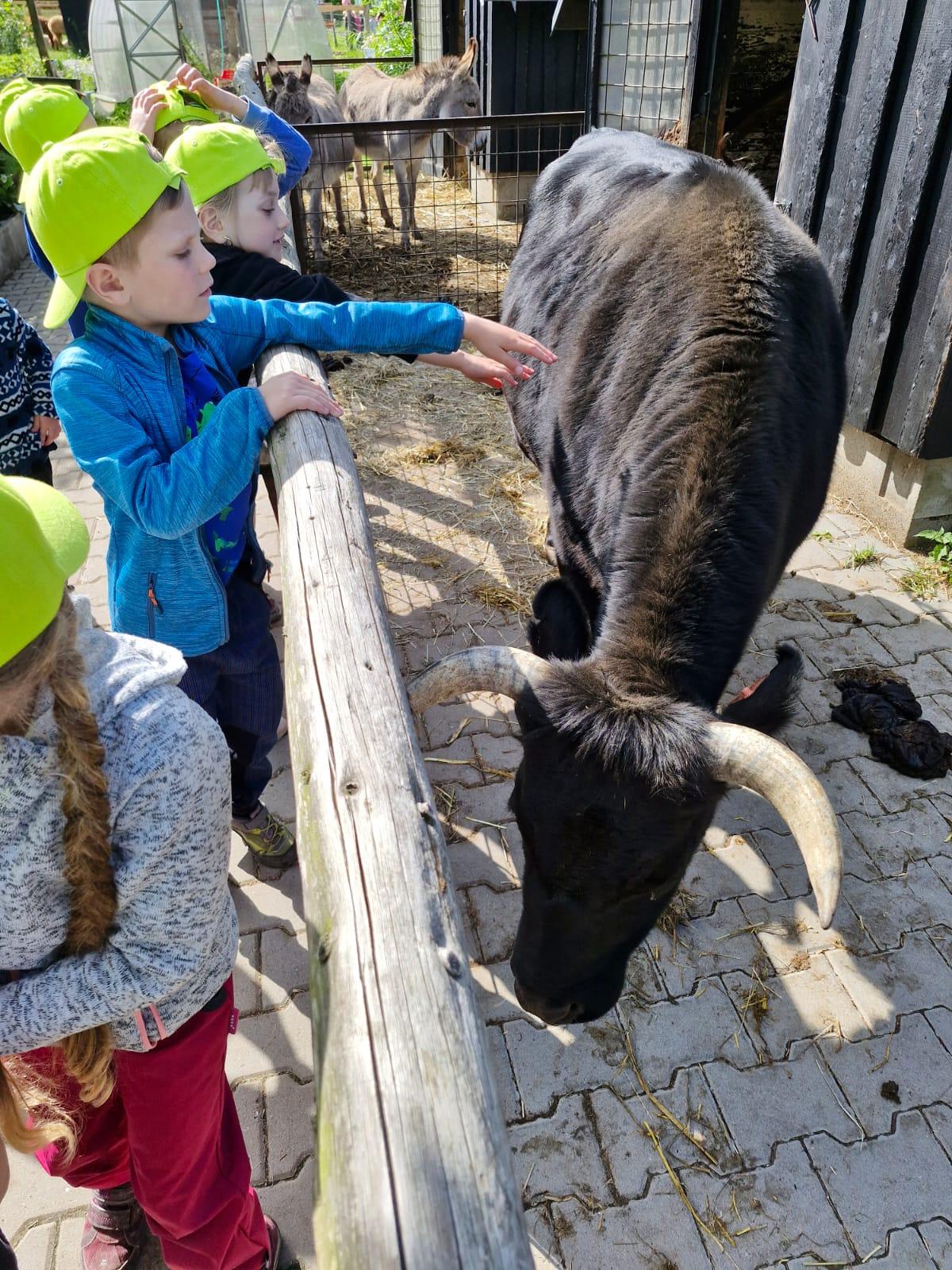 VÝLET NA BABIČČIN STATEK - 34