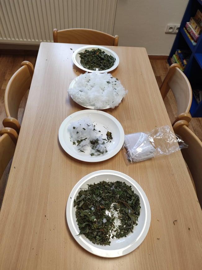 Bylinky - námořníci - 11