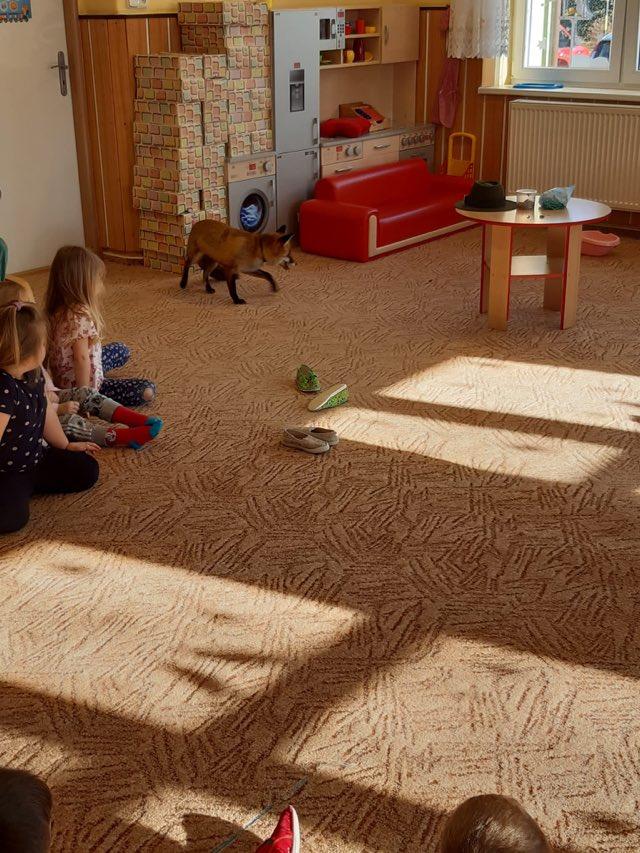 Tvoříme krmítka a LIŠKA - 15