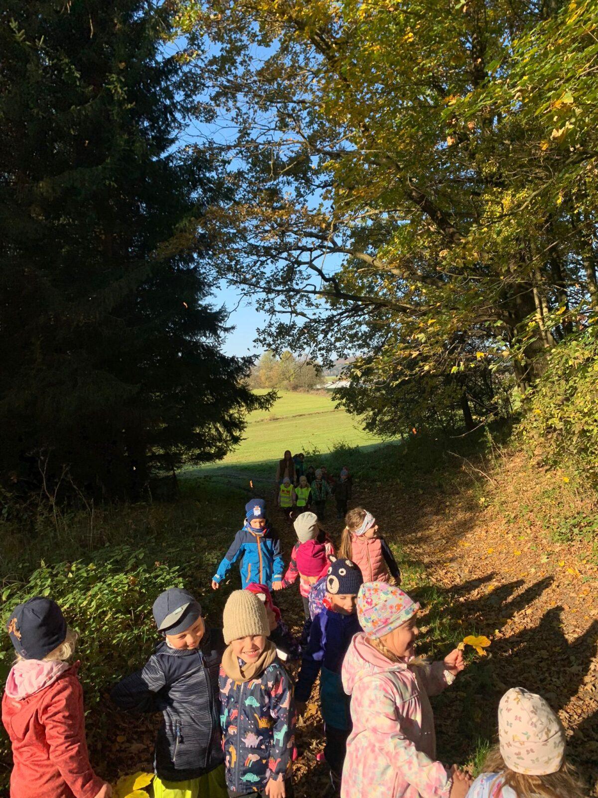 krmení zvířátek v lese - 2