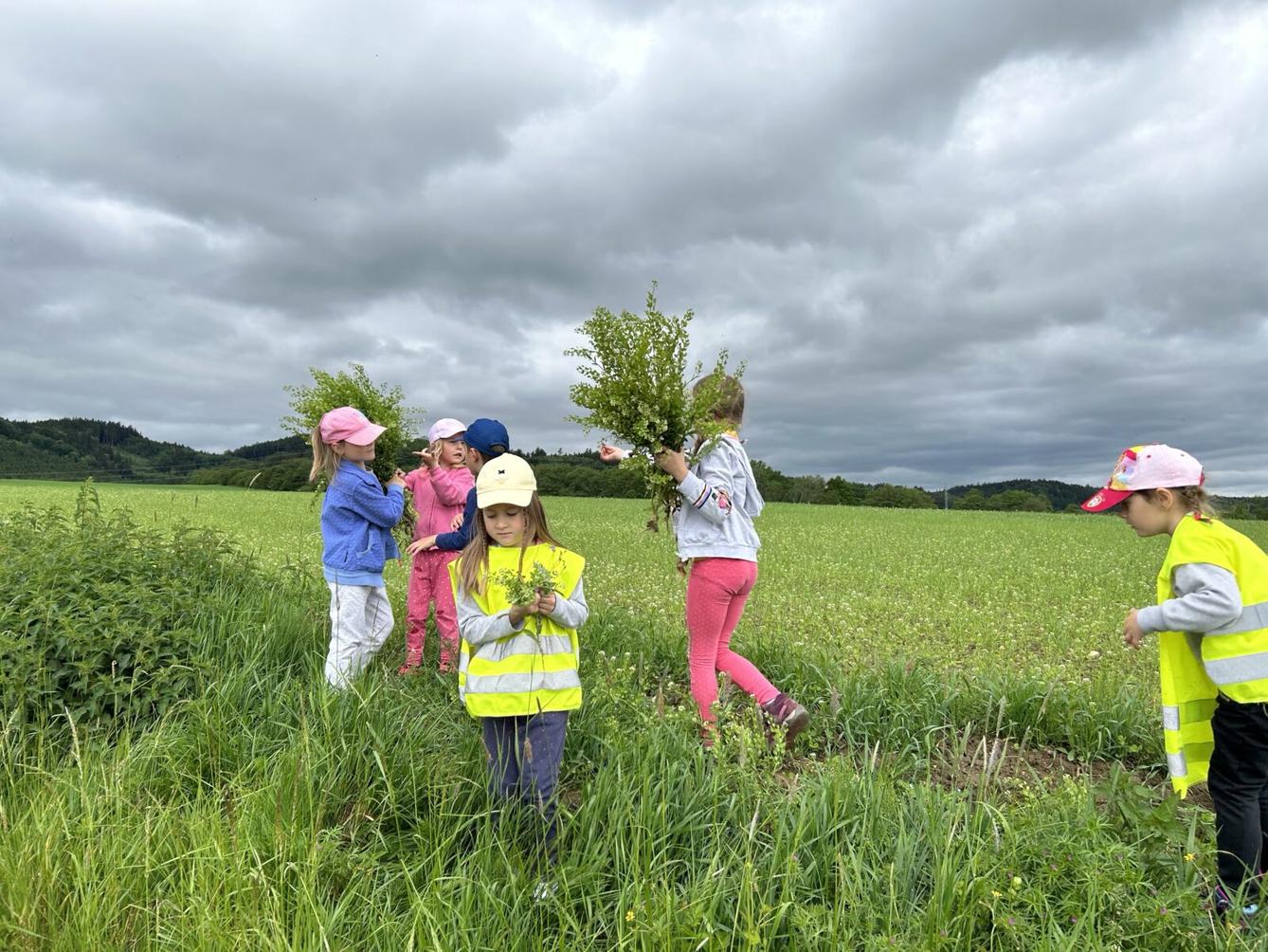 SOVIČKY: ,,JARNÍ LOUKA" - 24