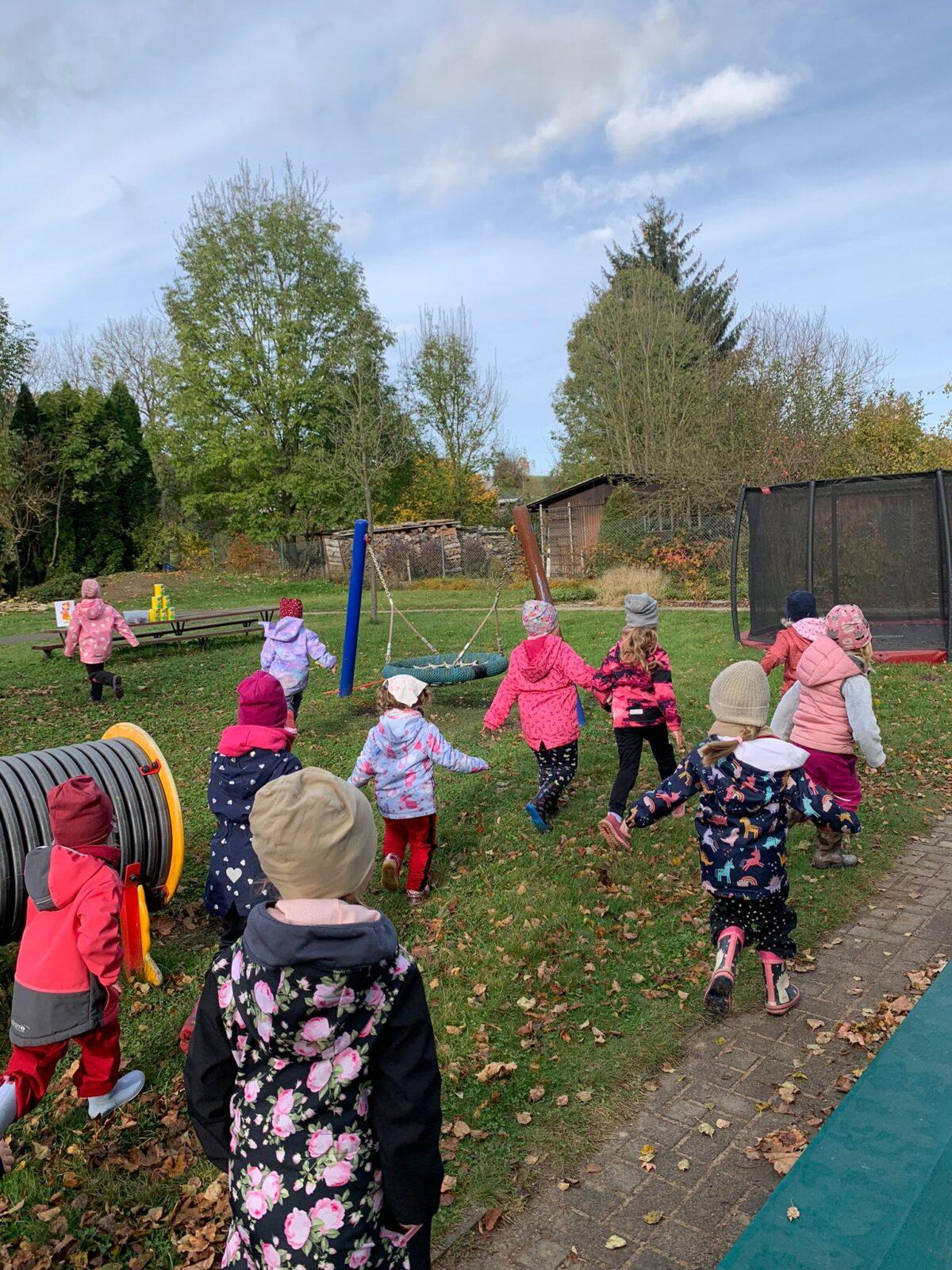 hledání podzimníčků - 4