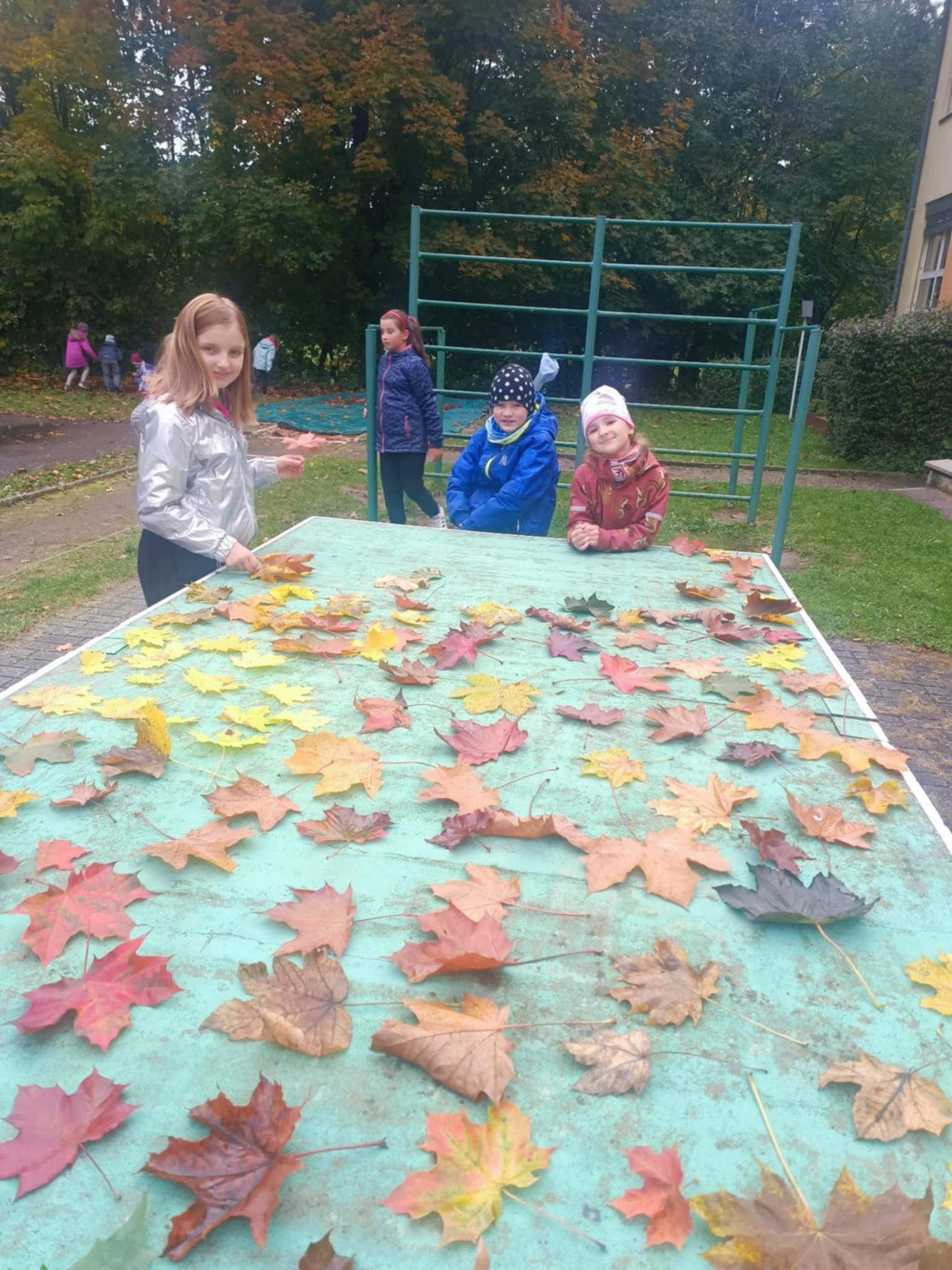 ŠKOLNÍ DRUŽINA - 2. ODDĚLENÍ -PODZIM - 15