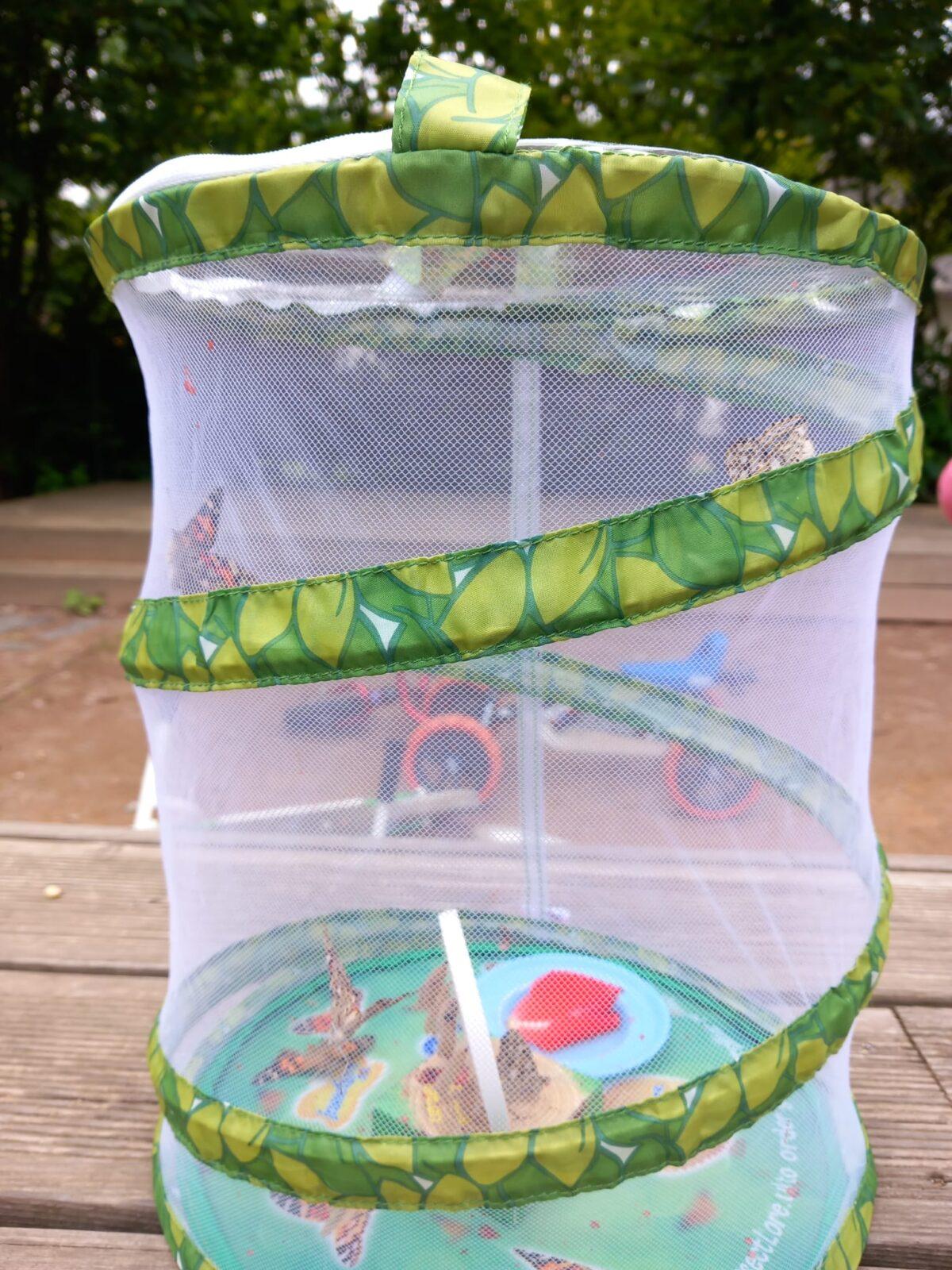 děti pozorovaly vývoj motýla... - 7