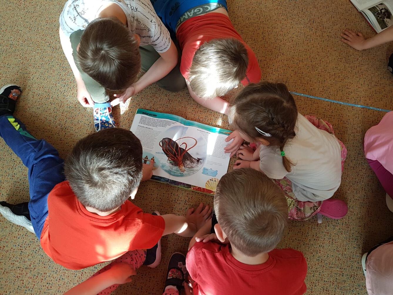 SOVIČKY: ROZVOJ ČTENÁŘSKÉ GRAMOTNOSTI V MŠ - ZVÍŘATA - 25