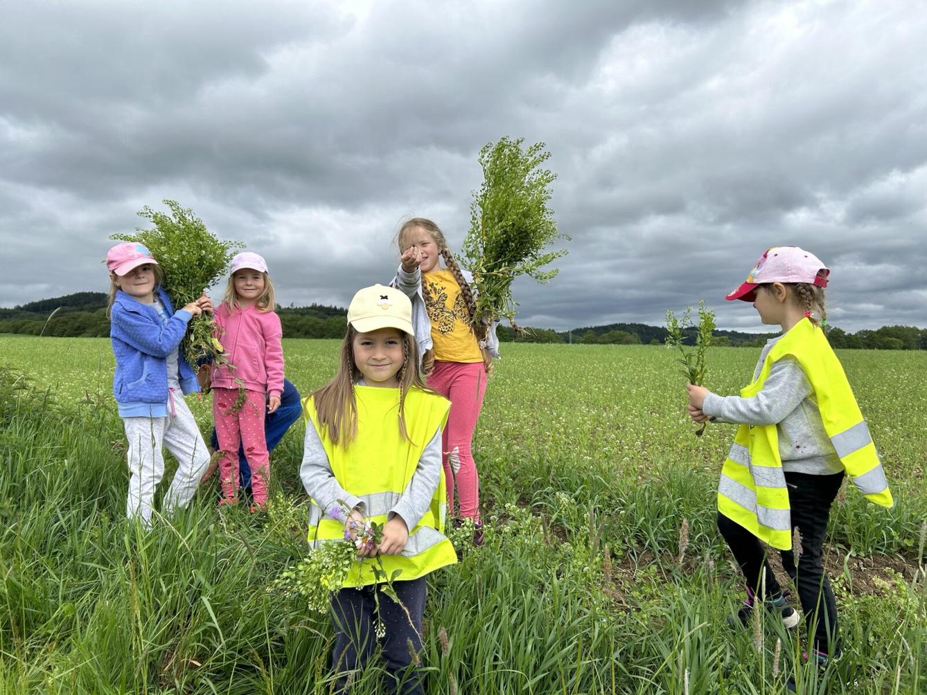 SOVIČKY: ,,JARNÍ LOUKA" - 26