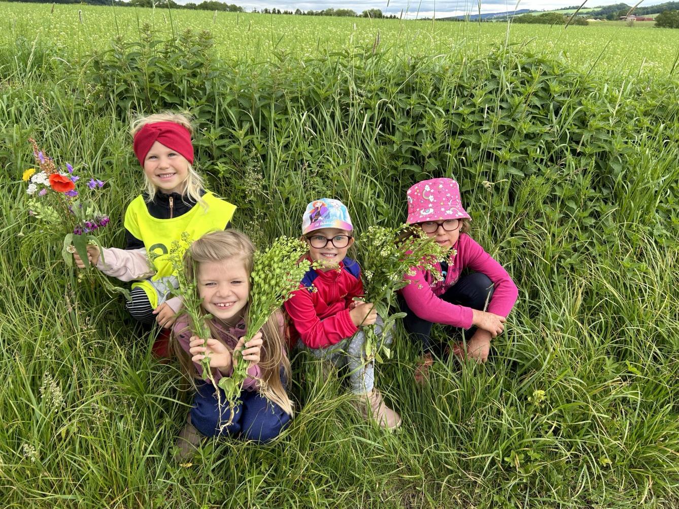 SOVIČKY: ,,JARNÍ LOUKA" - 27