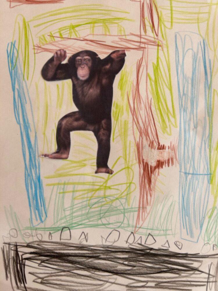 SOVIČKY: ROZVOJ ČTENÁŘSKÉ GRAMOTNOSTI V MŠ - ZVÍŘATA - 27