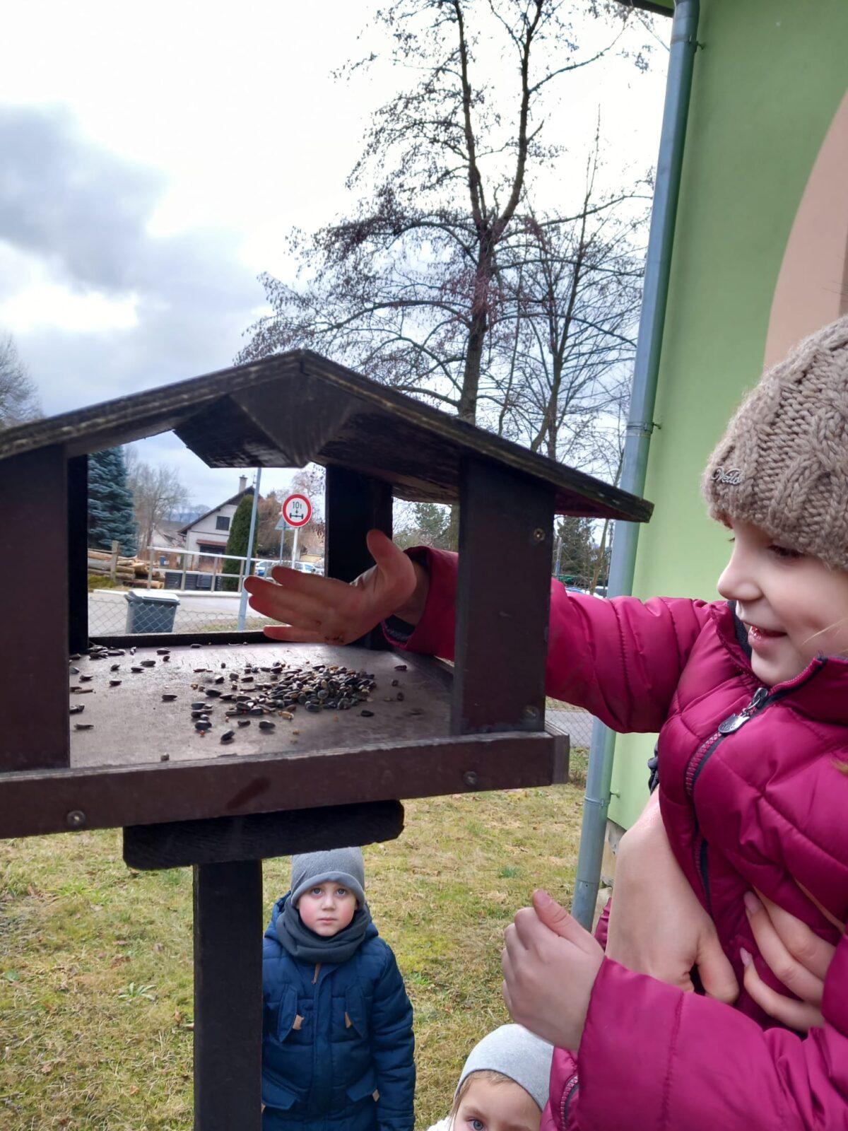 hry na ledu a krmení ptáčků - 6