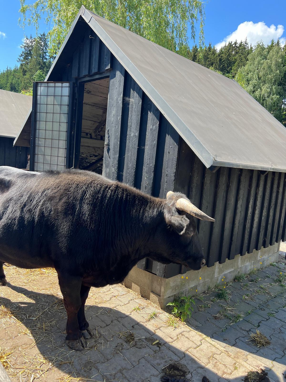 VÝLET NA BABIČČIN STATEK - 41