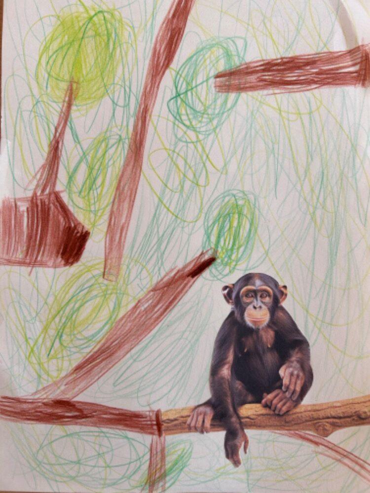 SOVIČKY: ROZVOJ ČTENÁŘSKÉ GRAMOTNOSTI V MŠ - ZVÍŘATA - 29