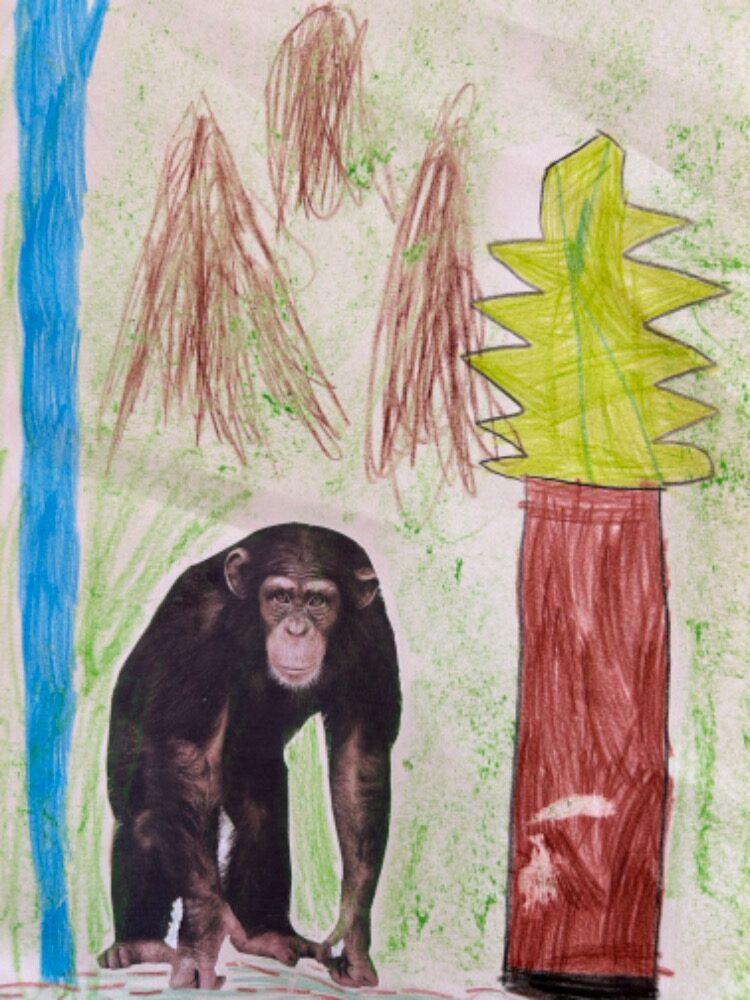 SOVIČKY: ROZVOJ ČTENÁŘSKÉ GRAMOTNOSTI V MŠ - ZVÍŘATA - 30