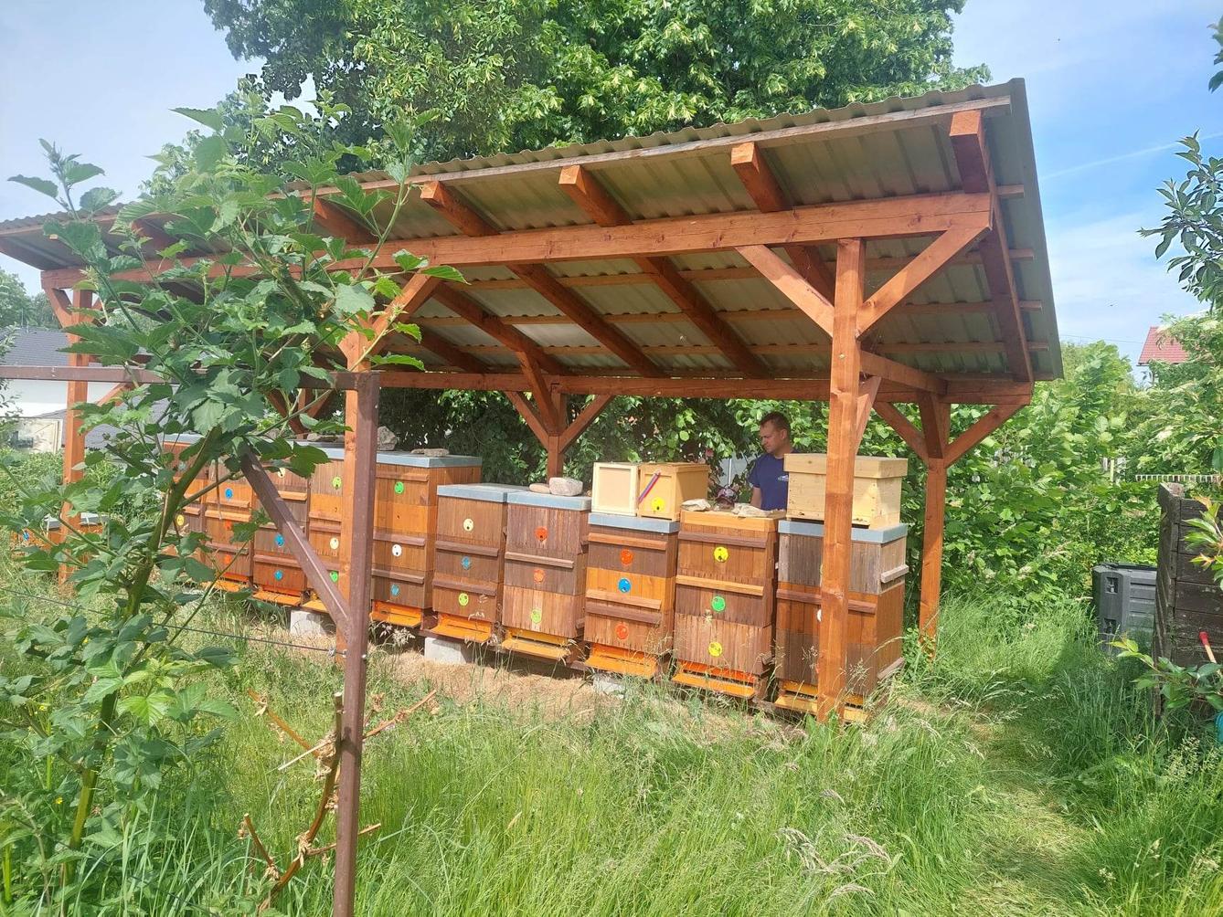 Návštěva prvňáků u včelaře - 12