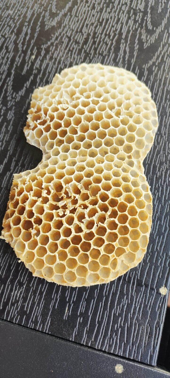 Návštěva prvňáků u včelaře - 17