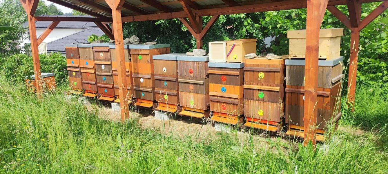 Návštěva prvňáků u včelaře - 21