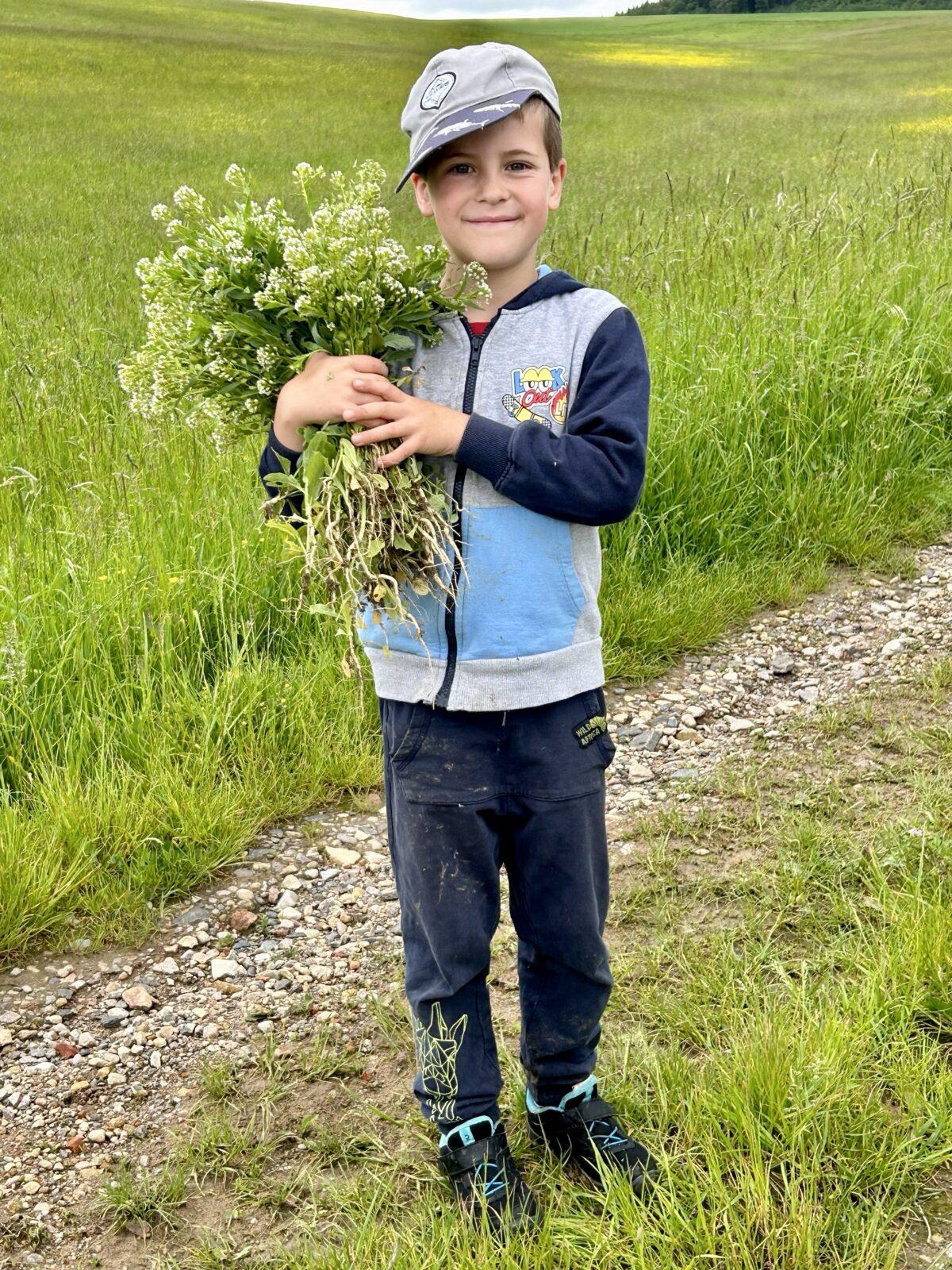 SOVIČKY: ,,JARNÍ LOUKA" - 34