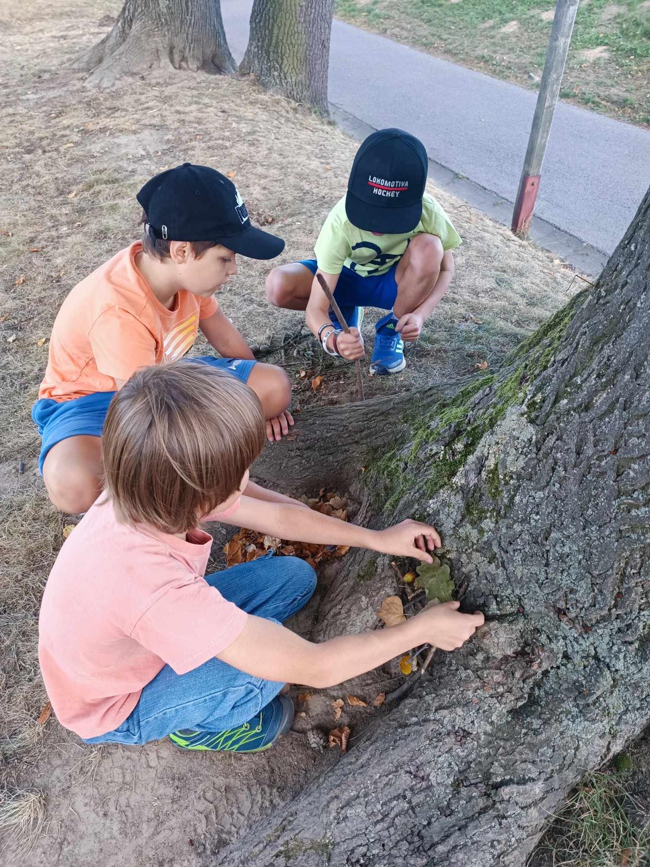 ZÁŘÍ A ŘÍJEN VE  2. ODDĚLENÍ - 6