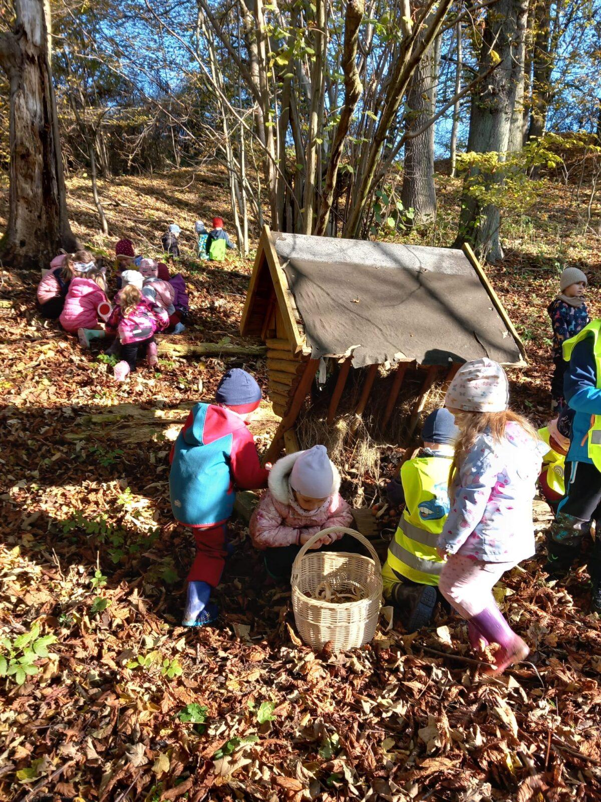 krmení zvířátek v lese - 3