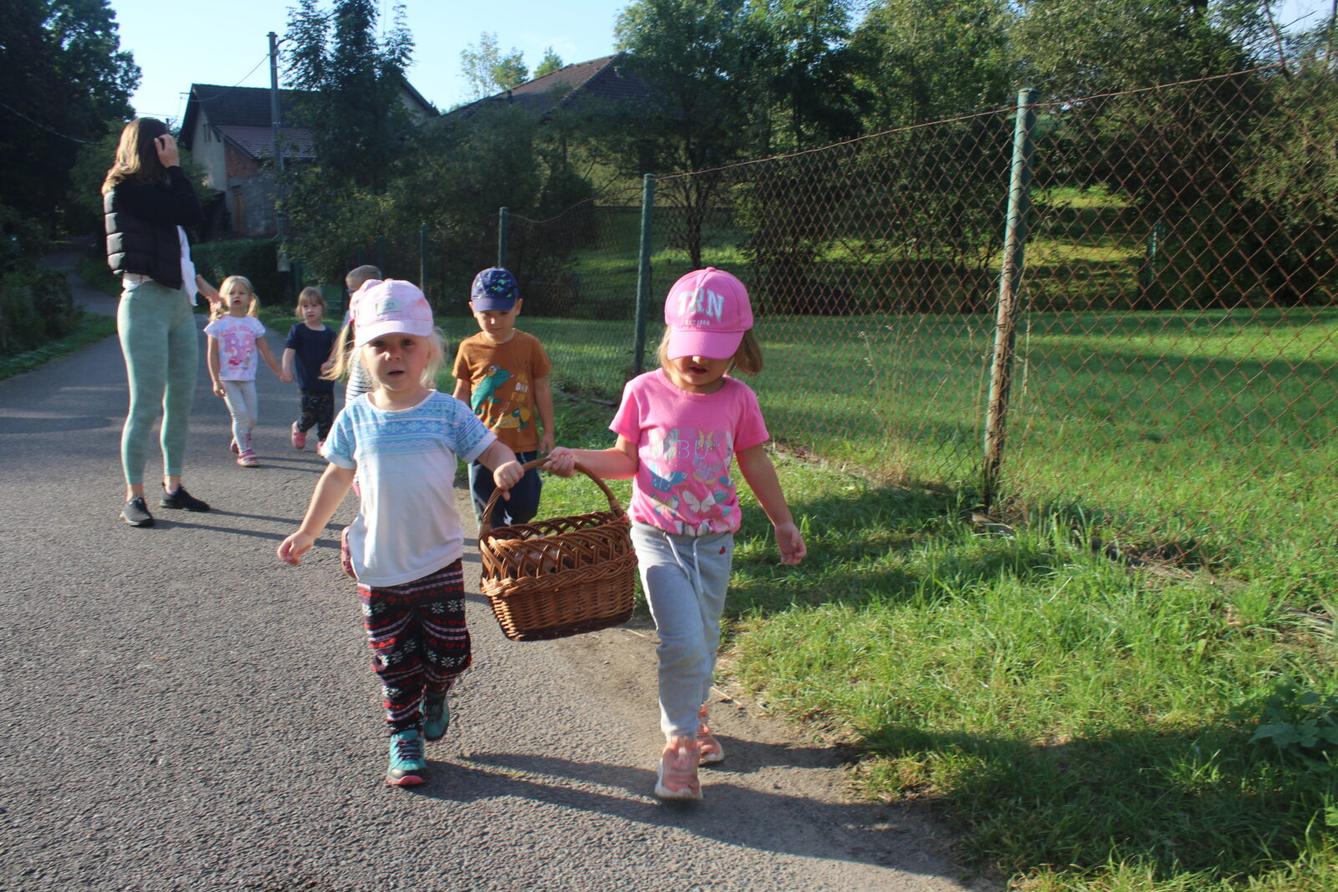 broučci: lesní dobrodružství se sovičkou jůlinkou - 28