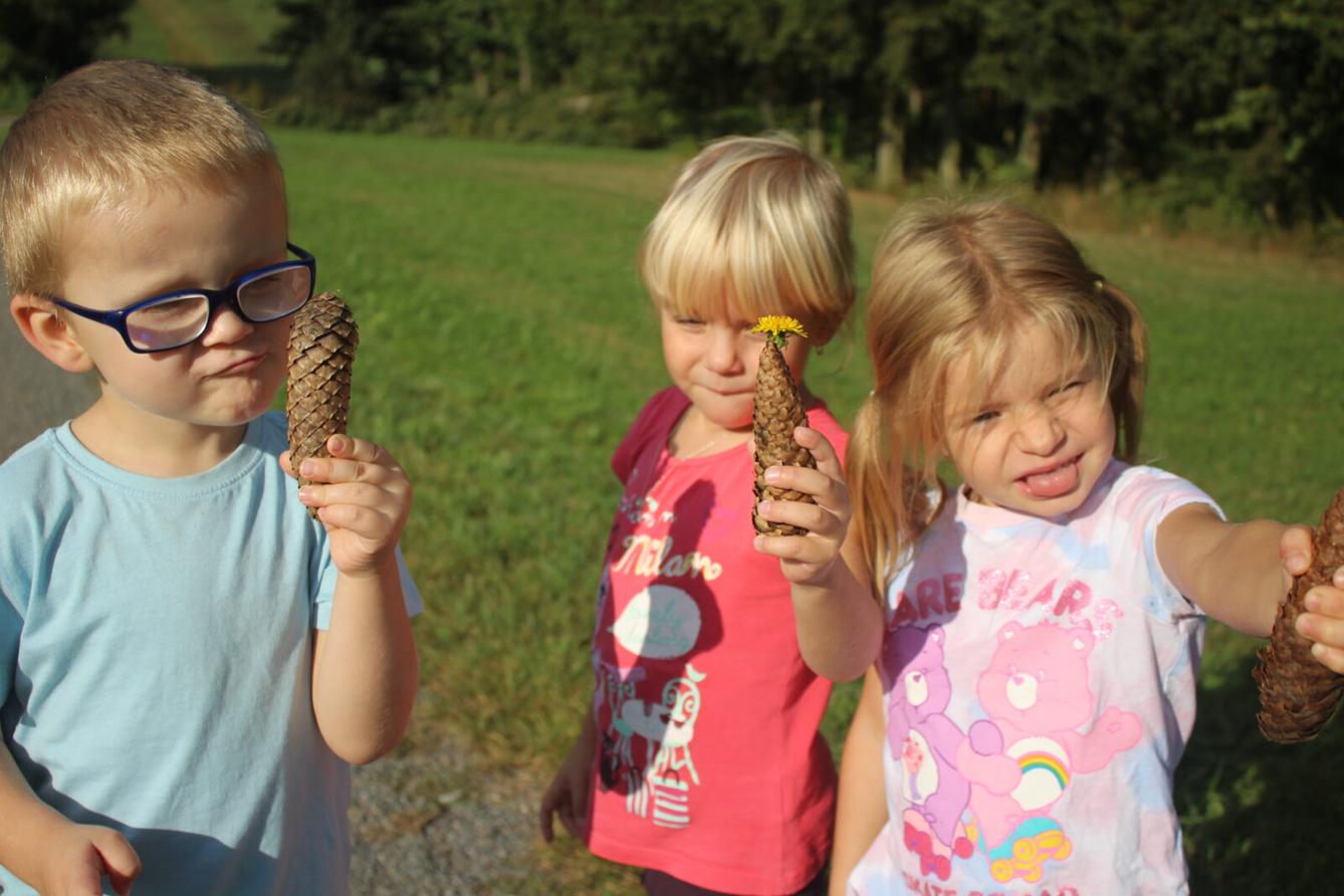 broučci: lesní dobrodružství se sovičkou jůlinkou - 29