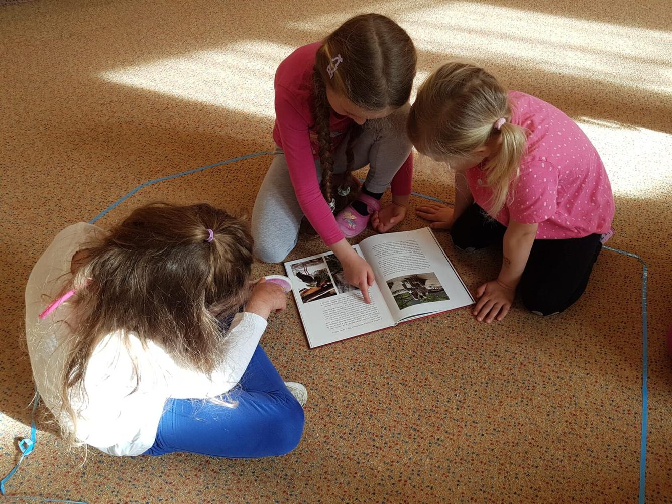 SOVIČKY: ROZVOJ ČTENÁŘSKÉ GRAMOTNOSTI V MŠ - ZVÍŘATA - 33