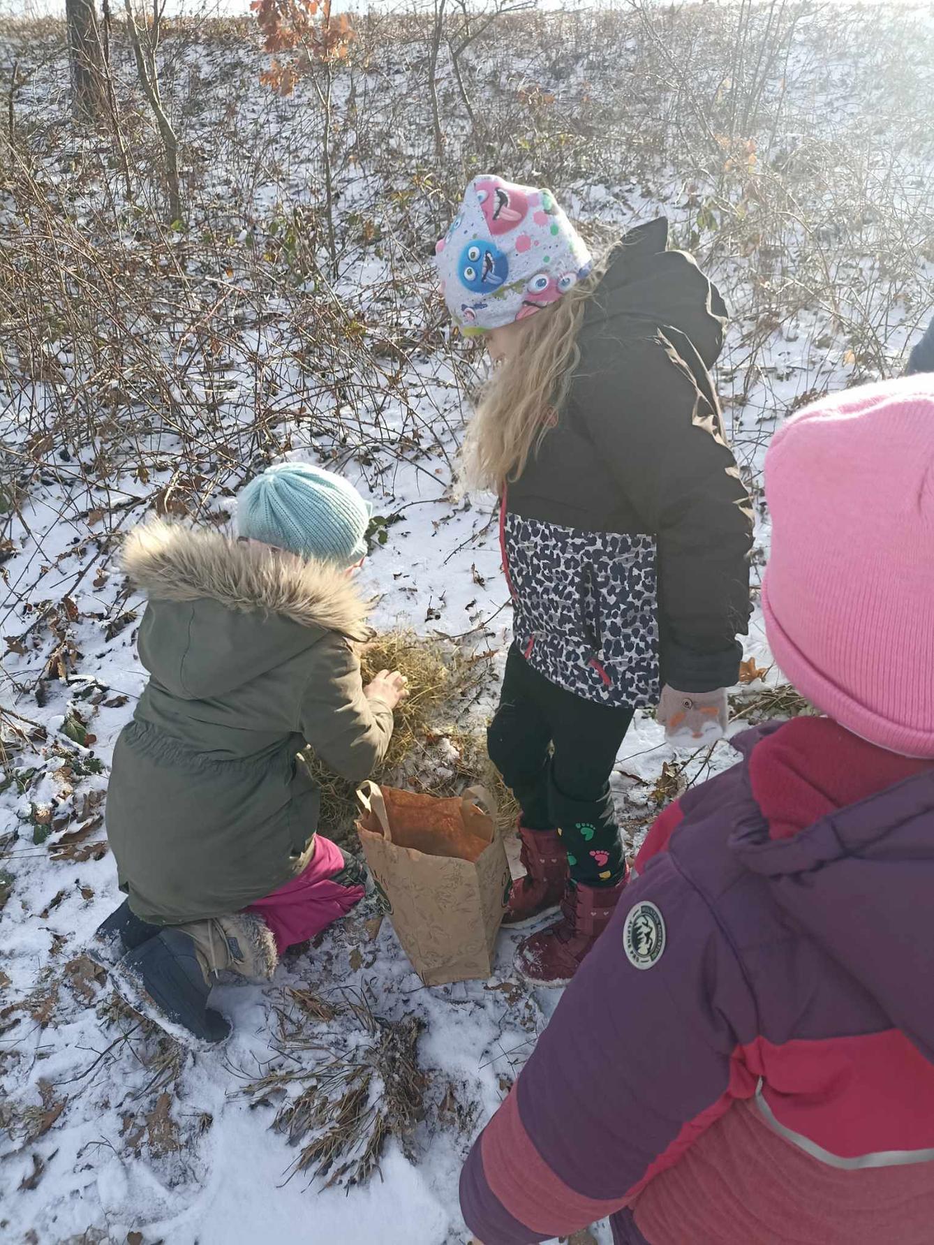 Krmení zvířat - naučná stezka - 1