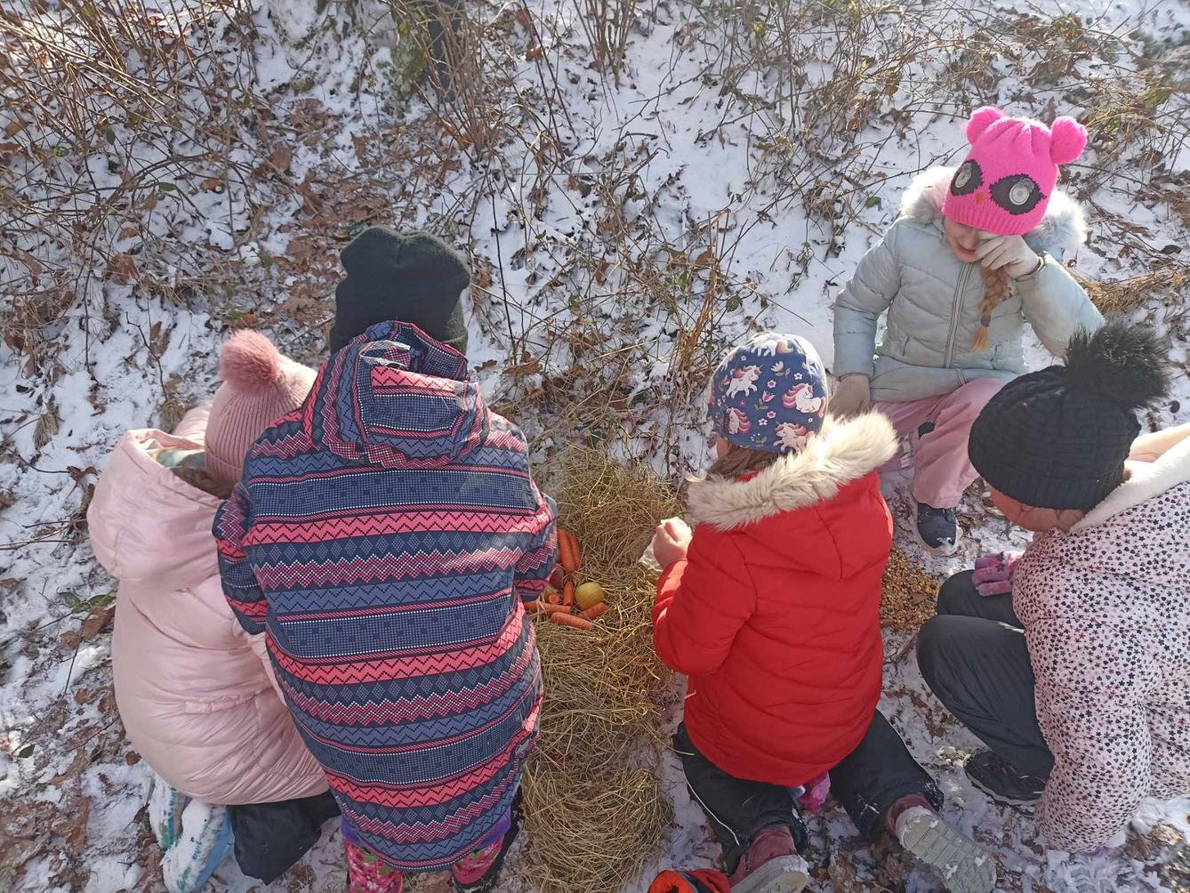 Krmení zvířat - naučná stezka - 3