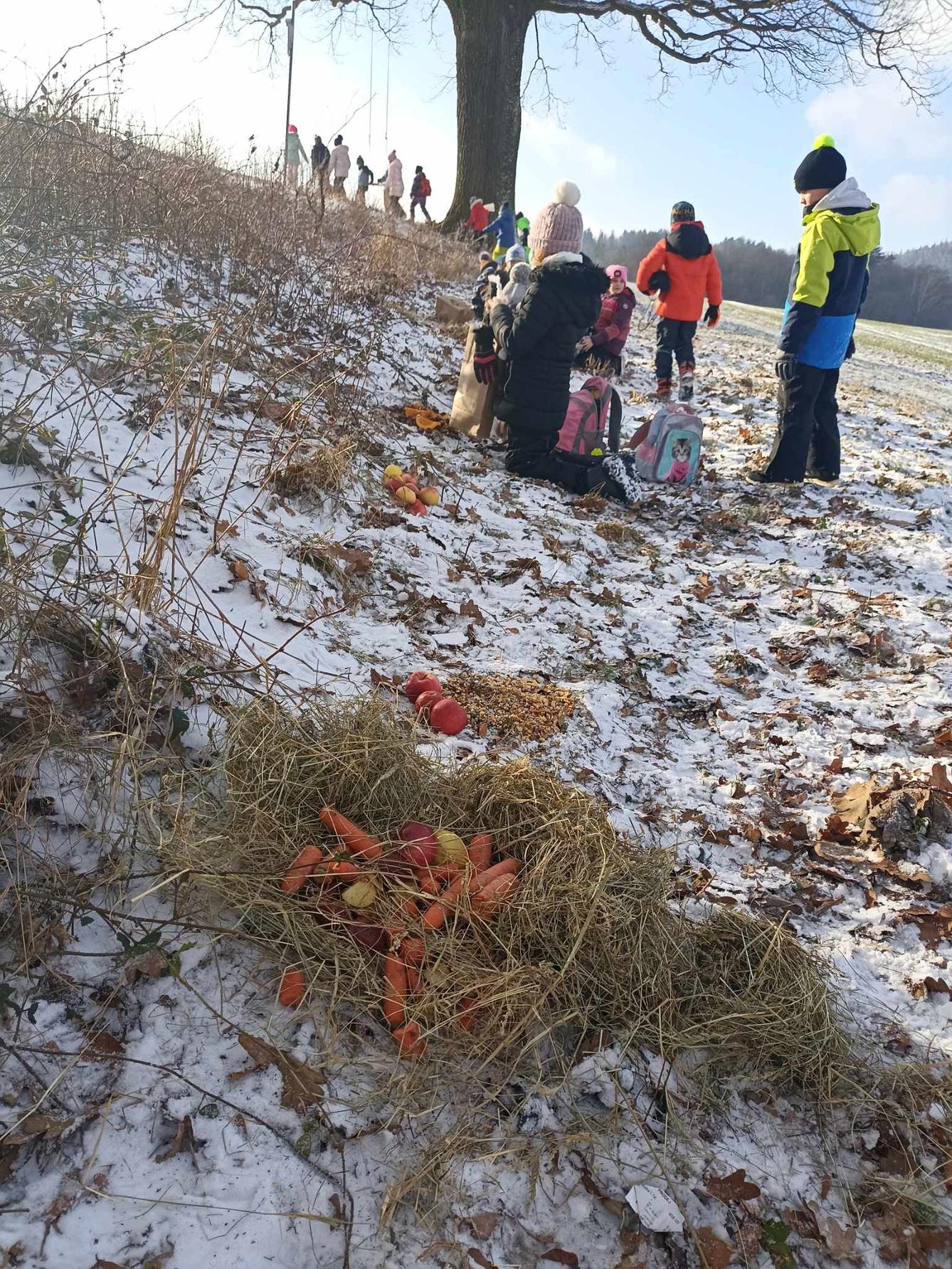 Krmení zvířat - naučná stezka - 11