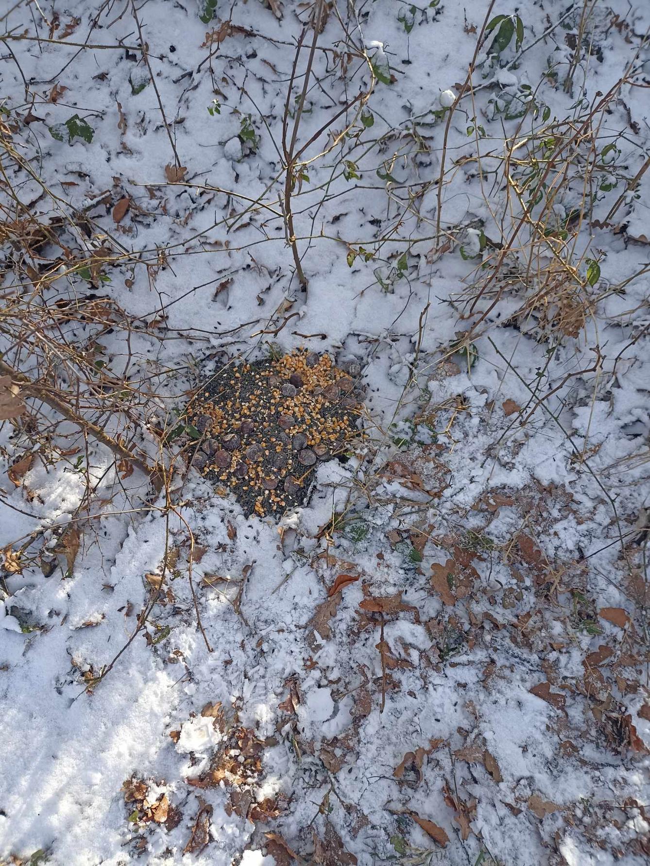 Krmení zvířat - naučná stezka - 12