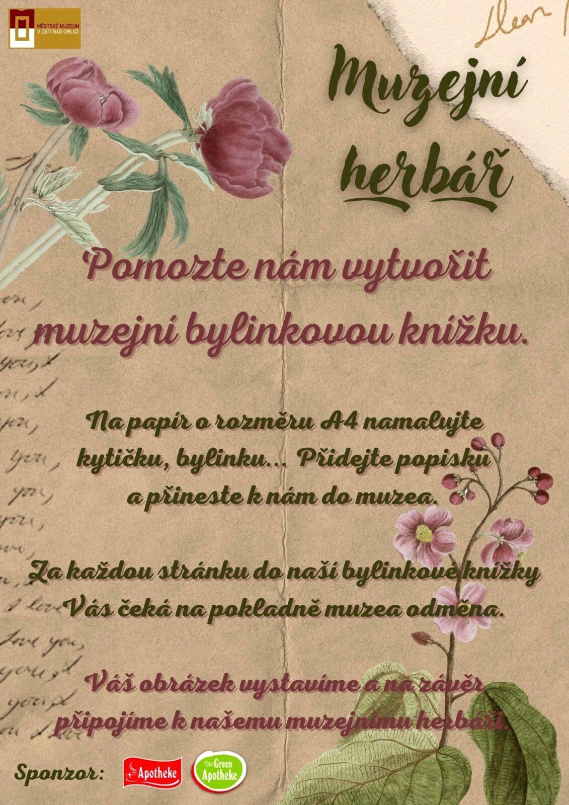 Léčivé byliny - žáci 7. třídy - 1