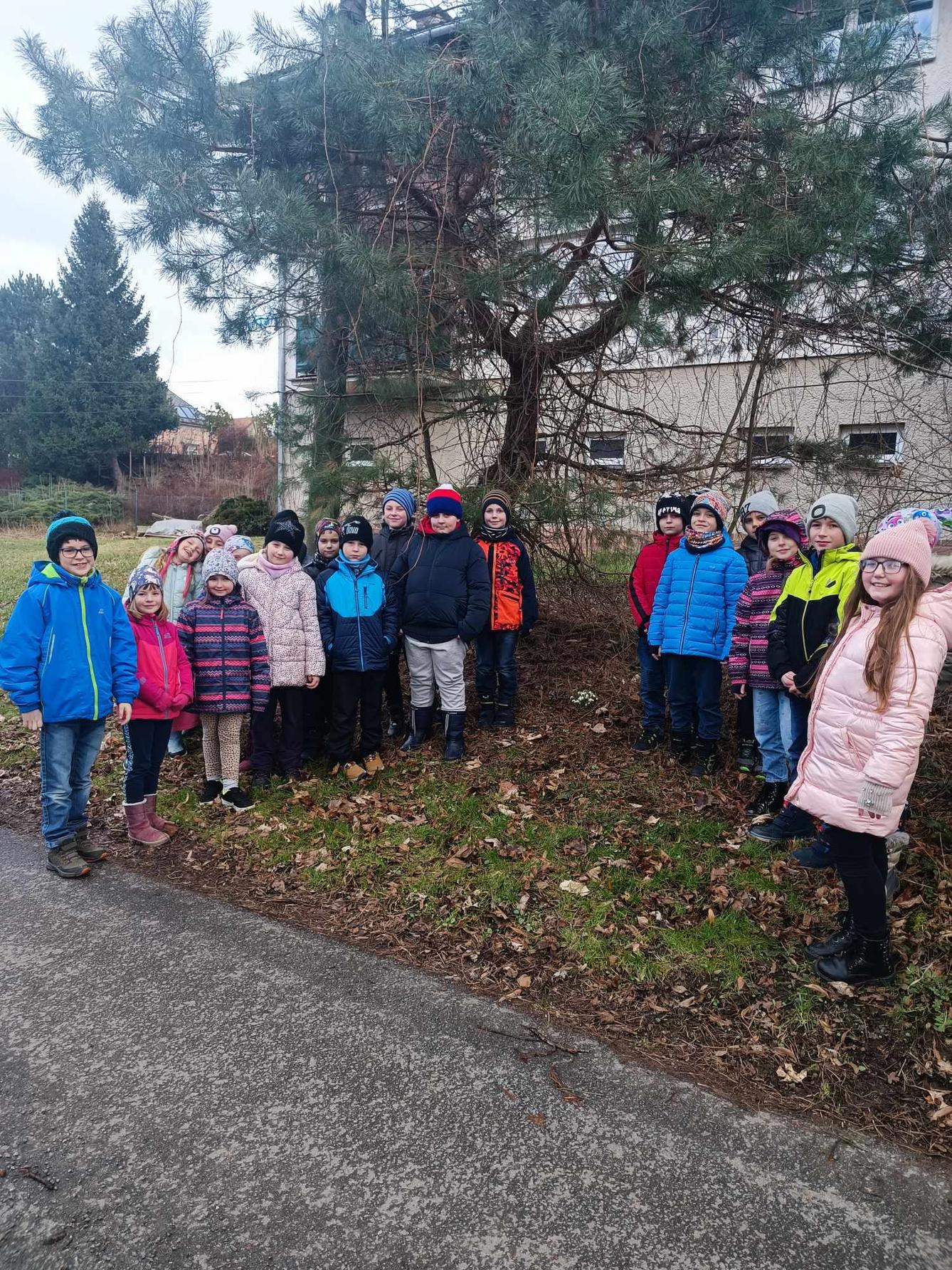 Předjaří ve 2. oddělení - 7