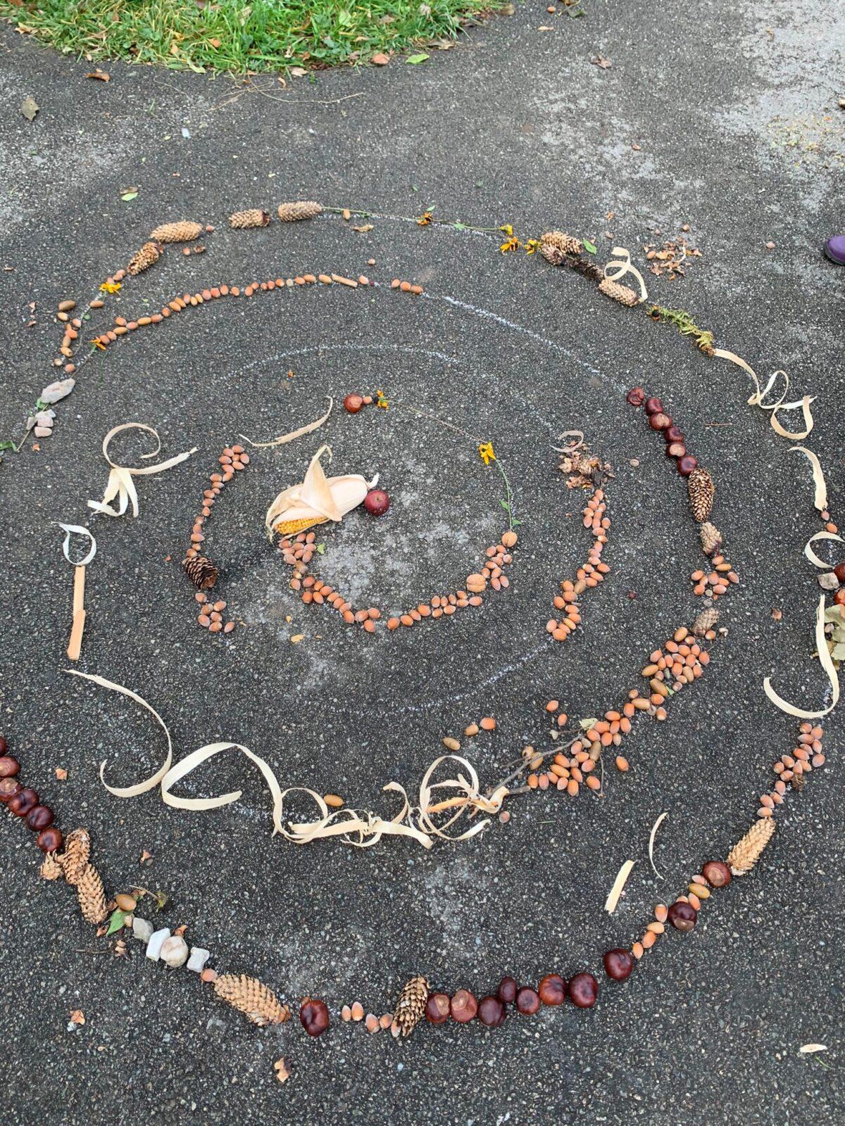 hledání podzimníčků - 7