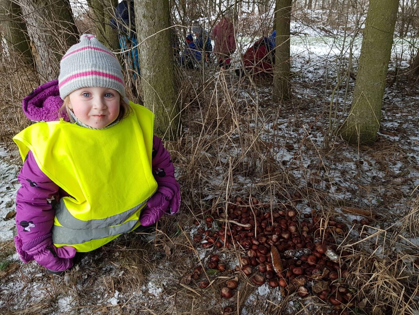 SOVIČKY: ,,ZVÍŘATA A PTÁCI V ZIMĚ" - 42