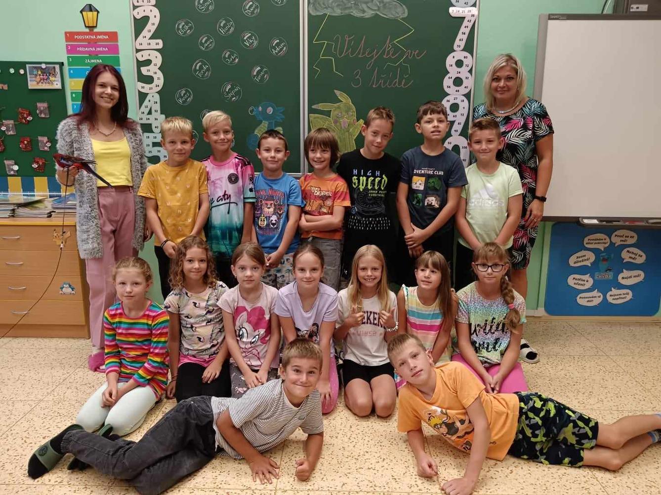 Barevný týden - papouškové pondělí - 4